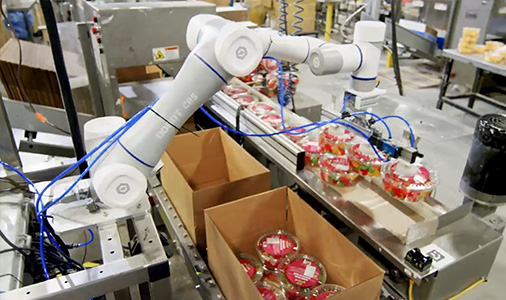 越疆科技,越疆,越疆機器人,越疆官網,dobot,協作機器人,越疆協作機器人,協作機械臂,協作機械手,自動化機械臂,協作機器人品牌,協作機器人制造商,協作機器人研發,具身智能機器人,協作機器人,食品飲料行業應用,包裝自動化,高精度,更安全,靈活易用,降本增效,開箱,裝箱,貼標,搬運,碼垛,機器人解決方案,碼垛工藝包,模塊化,安全皮膚,柔性生產、柔性生產